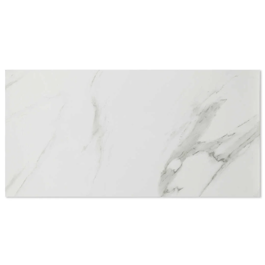 Alps Satuario Grey Polished