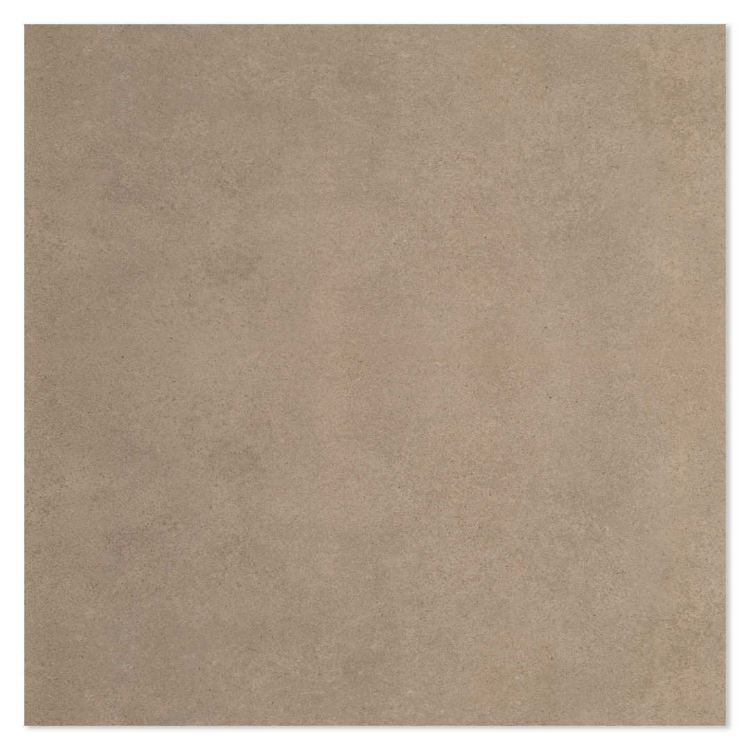 Appolo Brown Polished