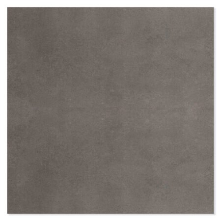 Appolo Dark Grey Polished