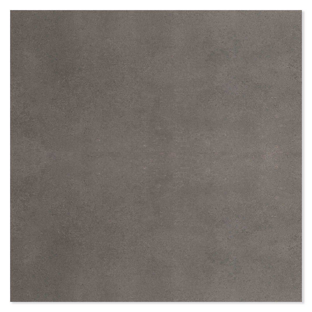 Appolo Dark Grey Polished
