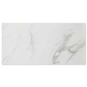 Alps Satuario Grey Polished