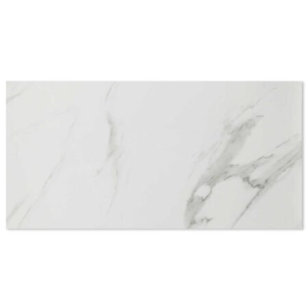 Alps Satuario Grey Polished
