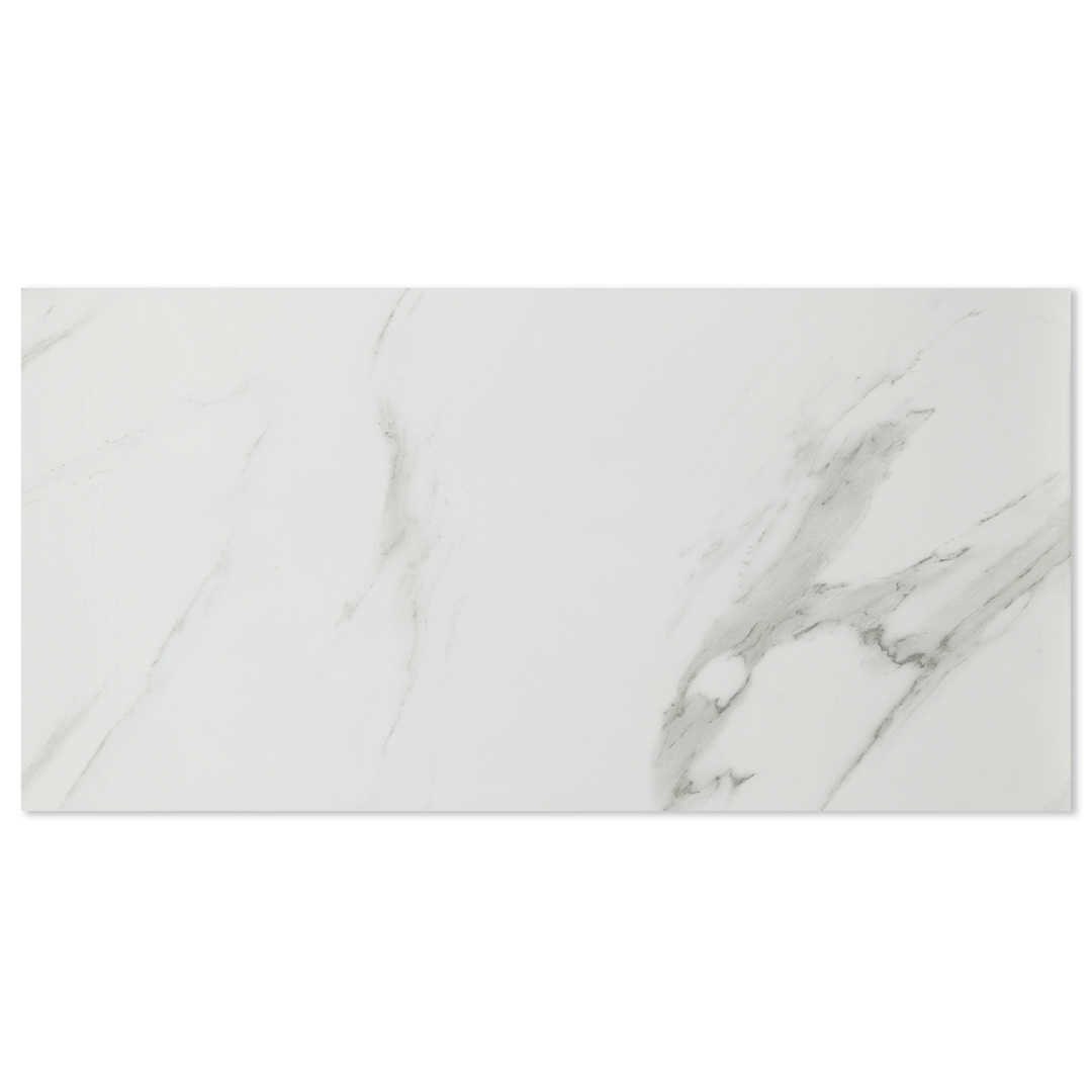Alps Satuario Grey Polished