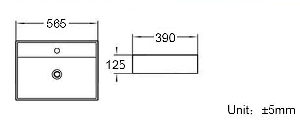 Riviera Countertop/Wall-Hung 560 Basin